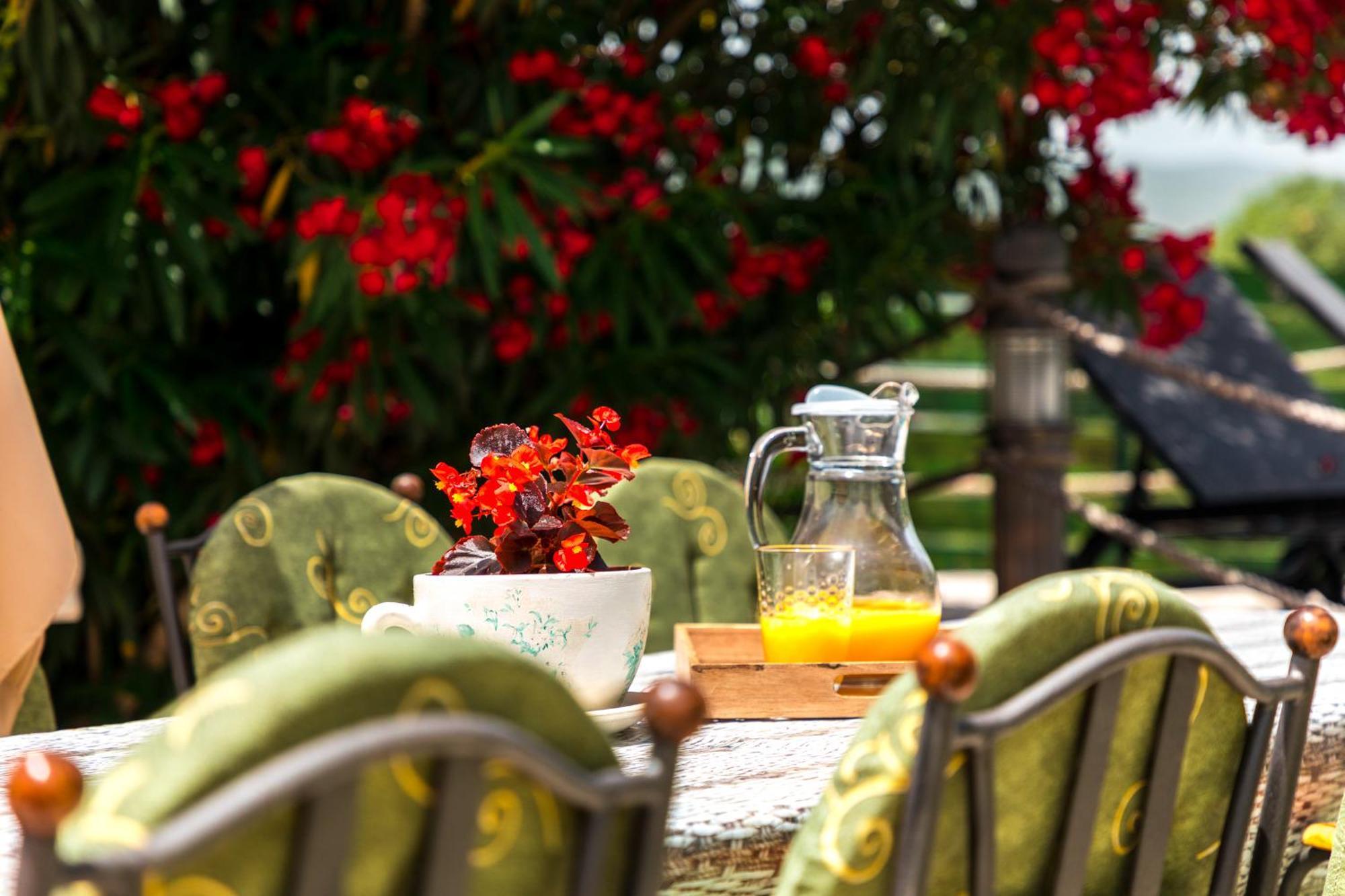 Villa Marco Polo Budva